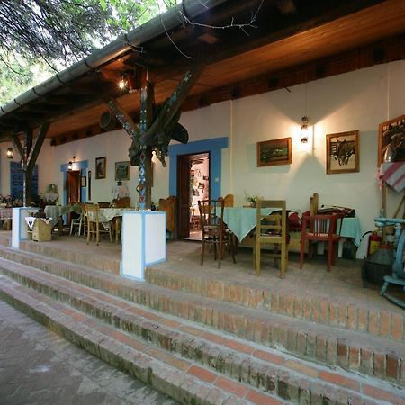 Salas 137 Cenej Ngoại thất bức ảnh